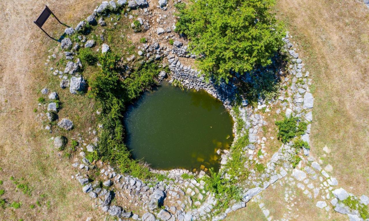 Villa Majkovica Orasac Esterno foto